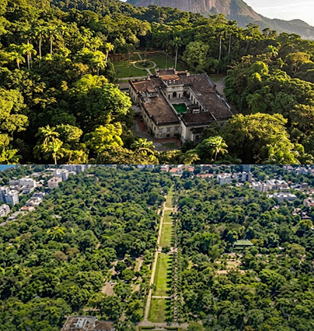 Parque Lage e Jardim Botânico